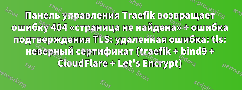 Панель управления Traefik возвращает ошибку 404 «страница не найдена» + ошибка подтверждения TLS: удаленная ошибка: tls: неверный сертификат (traefik + bind9 + CloudFlare + Let's Encrypt)