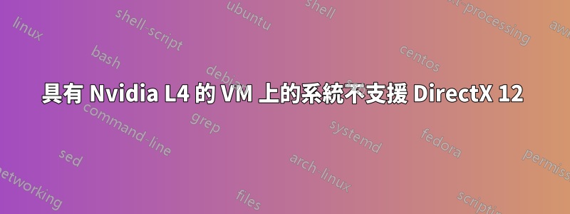 具有 Nvidia L4 的 VM 上的系統不支援 DirectX 12