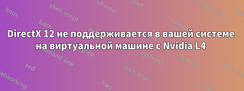 DirectX 12 не поддерживается в вашей системе на виртуальной машине с Nvidia L4