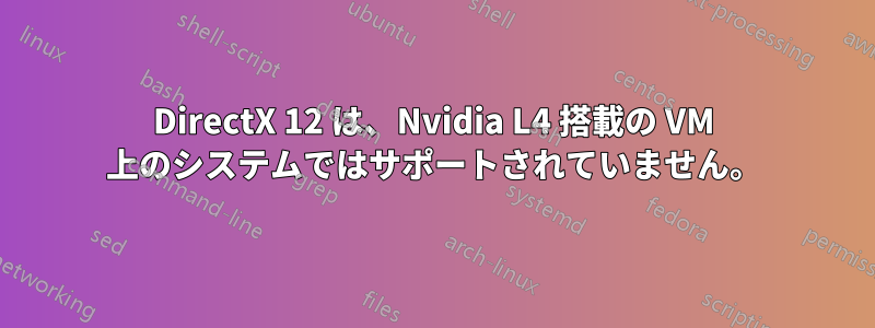 DirectX 12 は、Nvidia L4 搭載の VM 上のシステムではサポートされていません。