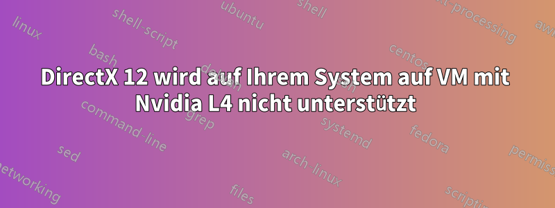 DirectX 12 wird auf Ihrem System auf VM mit Nvidia L4 nicht unterstützt