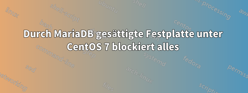 Durch MariaDB gesättigte Festplatte unter CentOS 7 blockiert alles