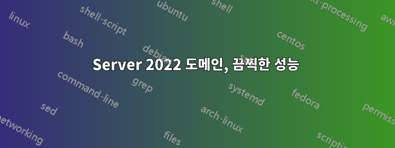 Server 2022 도메인, 끔찍한 성능