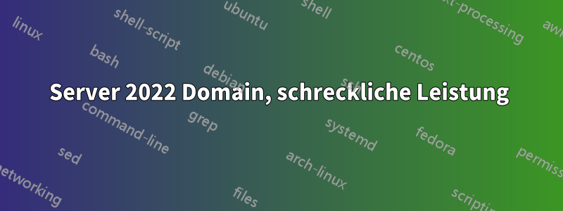 Server 2022 Domain, schreckliche Leistung