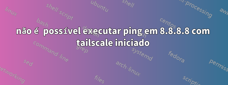 não é possível executar ping em 8.8.8.8 com tailscale iniciado