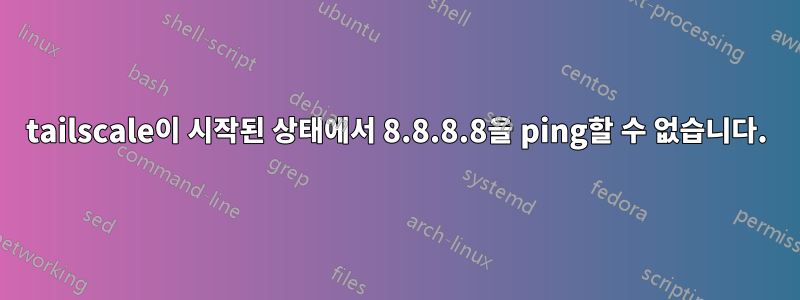 tailscale이 시작된 상태에서 8.8.8.8을 ping할 수 없습니다.