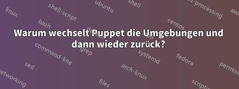 Warum wechselt Puppet die Umgebungen und dann wieder zurück?