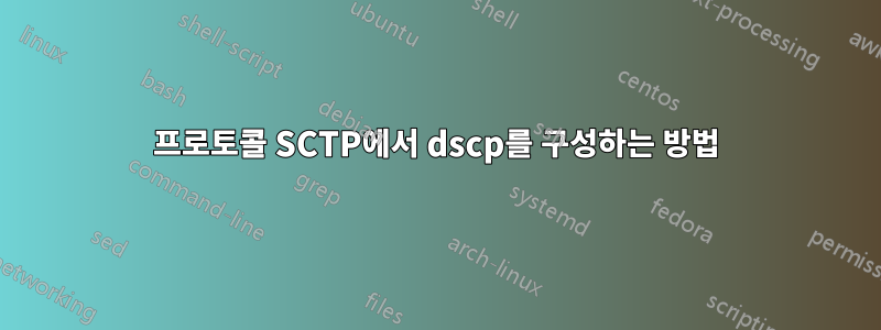 프로토콜 SCTP에서 dscp를 구성하는 방법