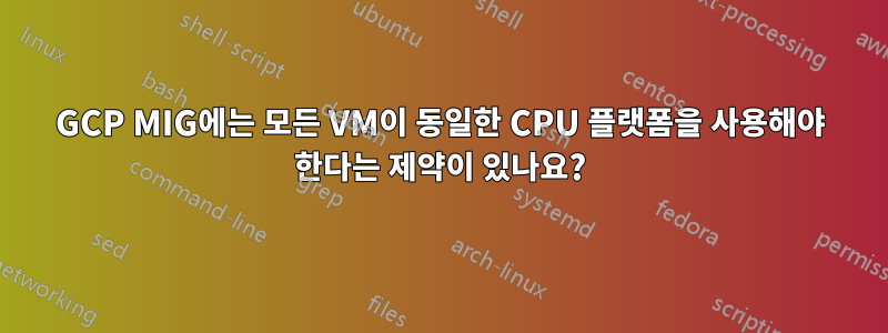 GCP MIG에는 모든 VM이 동일한 CPU 플랫폼을 사용해야 한다는 제약이 있나요?