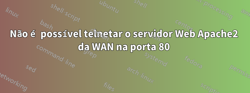 Não é possível telnetar o servidor Web Apache2 da WAN na porta 80