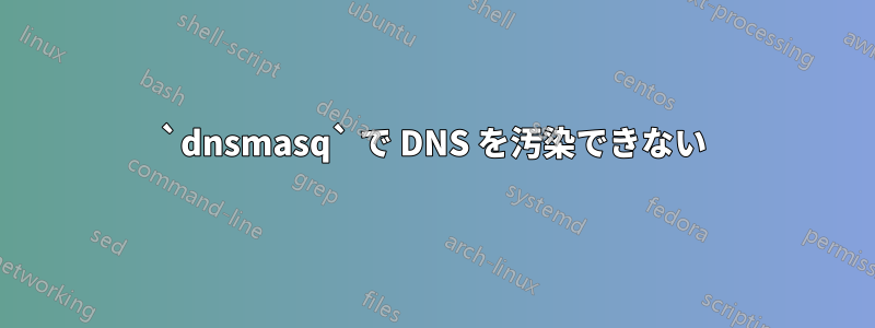 `dnsmasq` で DNS を汚染できない