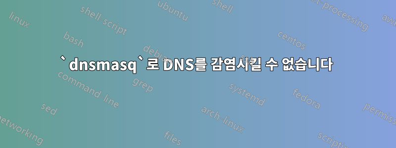 `dnsmasq`로 DNS를 감염시킬 수 없습니다