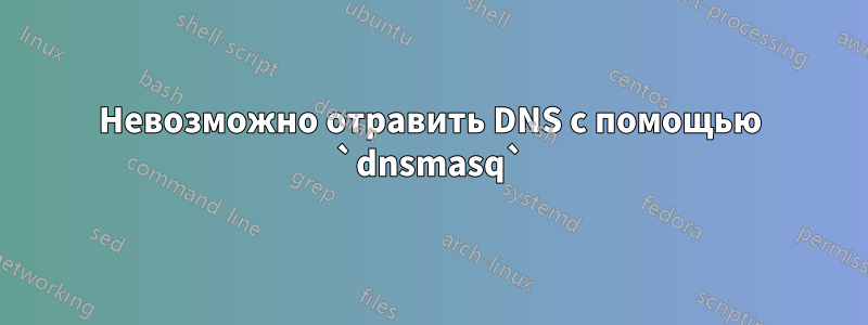 Невозможно отравить DNS с помощью `dnsmasq`