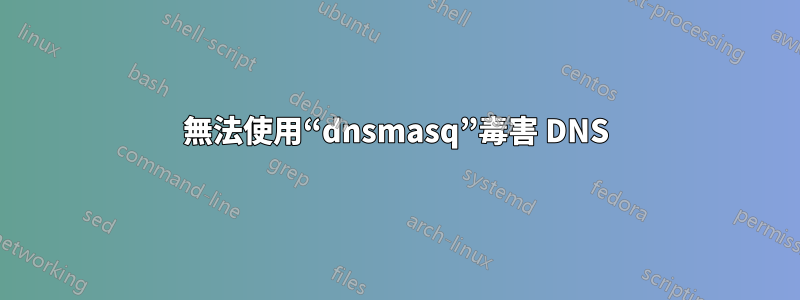 無法使用“dnsmasq”毒害 DNS