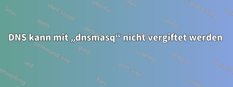 DNS kann mit „dnsmasq“ nicht vergiftet werden