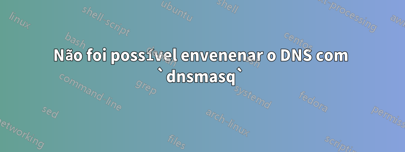 Não foi possível envenenar o DNS com `dnsmasq`