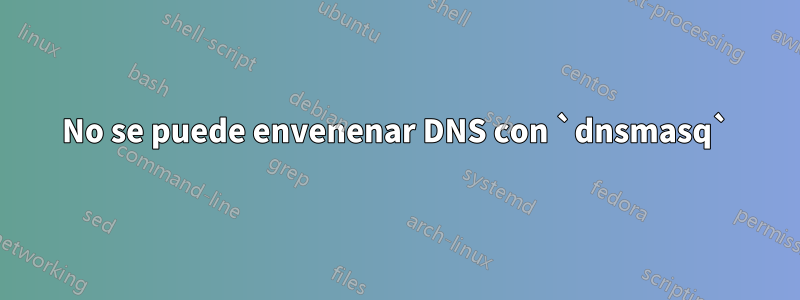 No se puede envenenar DNS con `dnsmasq`