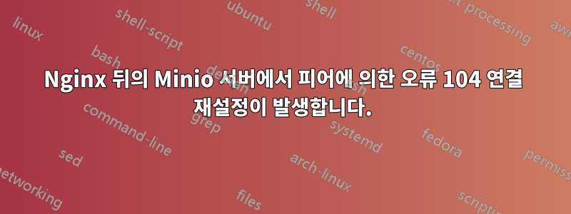 Nginx 뒤의 Minio 서버에서 피어에 의한 오류 104 연결 재설정이 발생합니다.