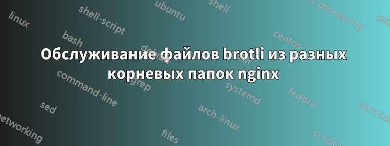 Обслуживание файлов brotli из разных корневых папок nginx