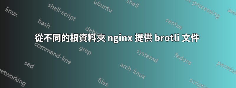 從不同的根資料夾 nginx 提供 brotli 文件