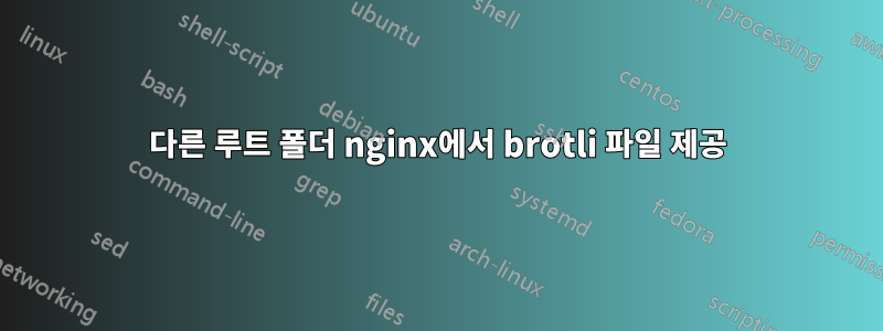 다른 루트 폴더 nginx에서 brotli 파일 제공