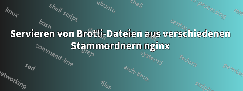 Servieren von Brotli-Dateien aus verschiedenen Stammordnern nginx