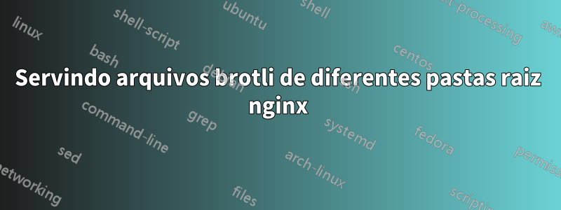 Servindo arquivos brotli de diferentes pastas raiz nginx