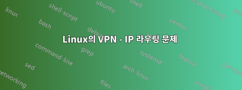 Linux의 VPN - IP 라우팅 문제