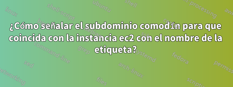 ¿Cómo señalar el subdominio comodín para que coincida con la instancia ec2 con el nombre de la etiqueta?