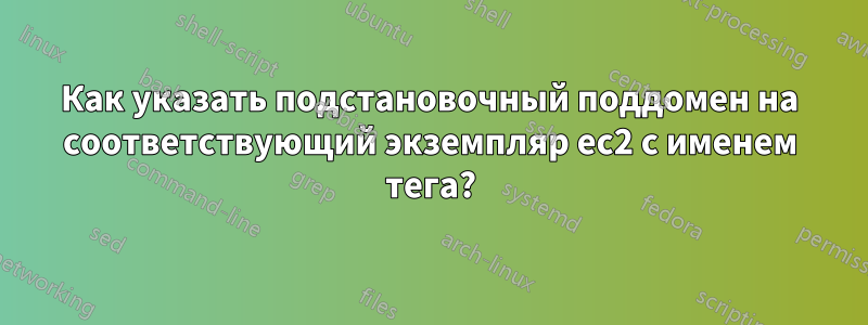 Как указать подстановочный поддомен на соответствующий экземпляр ec2 с именем тега?