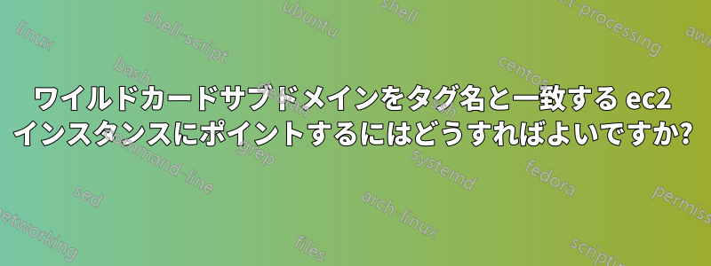 ワイルドカードサブドメインをタグ名と一致する ec2 インスタンスにポイントするにはどうすればよいですか?