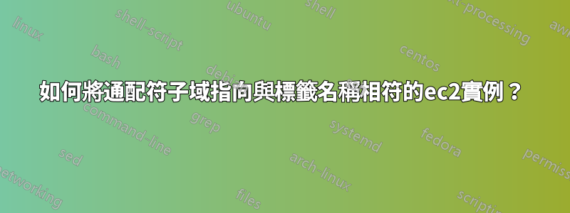 如何將通配符子域指向與標籤名稱相符的ec2實例？