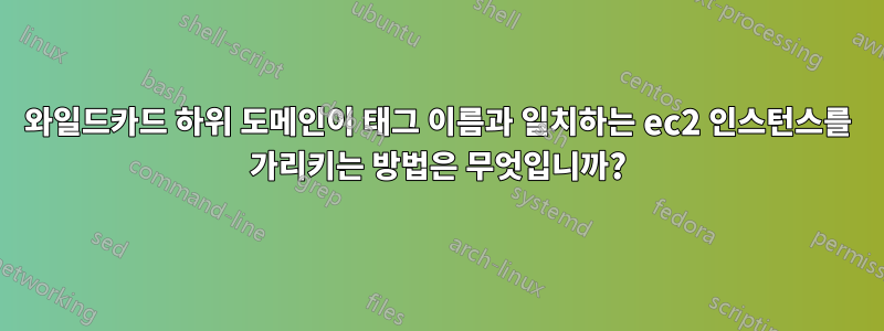 와일드카드 하위 도메인이 태그 이름과 일치하는 ec2 인스턴스를 가리키는 방법은 무엇입니까?