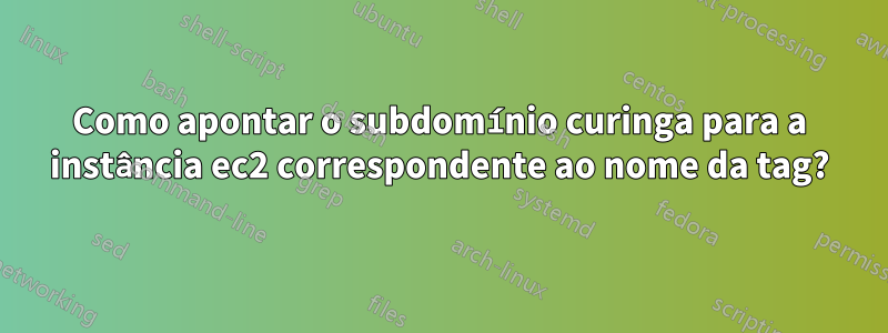 Como apontar o subdomínio curinga para a instância ec2 correspondente ao nome da tag?