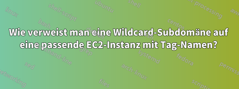 Wie verweist man eine Wildcard-Subdomäne auf eine passende EC2-Instanz mit Tag-Namen?