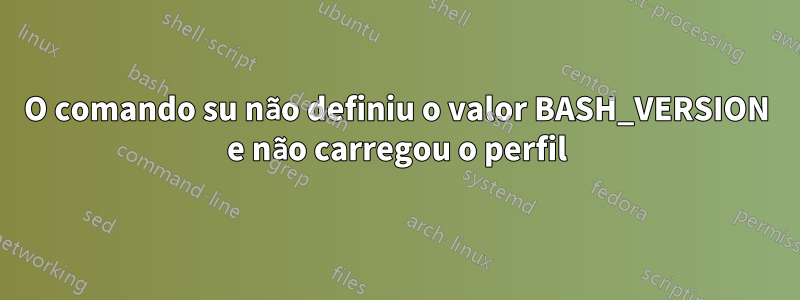 O comando su não definiu o valor BASH_VERSION e não carregou o perfil