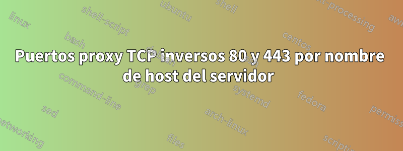 Puertos proxy TCP inversos 80 y 443 por nombre de host del servidor 