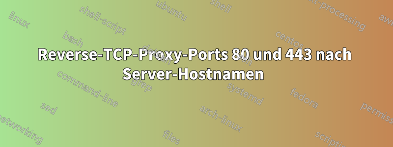 Reverse-TCP-Proxy-Ports 80 und 443 nach Server-Hostnamen 