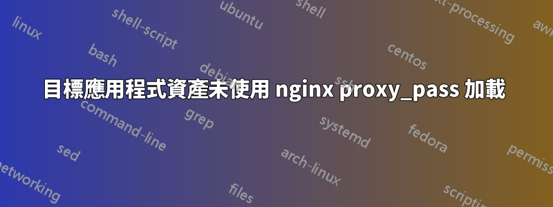 目標應用程式資產未使用 nginx proxy_pass 加載