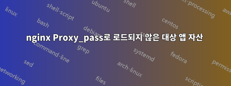 nginx Proxy_pass로 로드되지 않은 대상 앱 자산