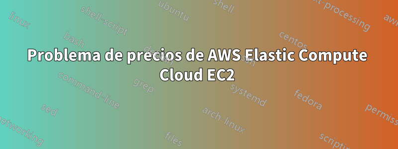 Problema de precios de AWS Elastic Compute Cloud EC2