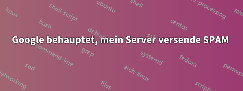 Google behauptet, mein Server versende SPAM