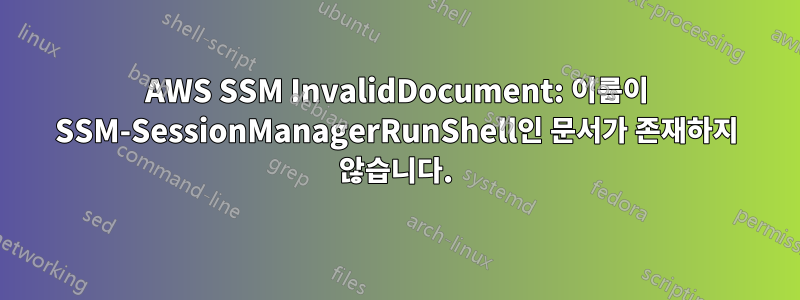 AWS SSM InvalidDocument: 이름이 SSM-SessionManagerRunShell인 문서가 존재하지 않습니다.