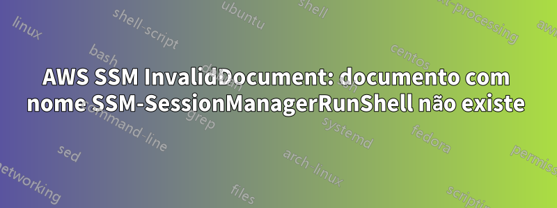 AWS SSM InvalidDocument: documento com nome SSM-SessionManagerRunShell não existe