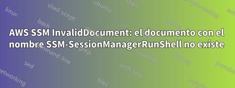 AWS SSM InvalidDocument: el documento con el nombre SSM-SessionManagerRunShell no existe