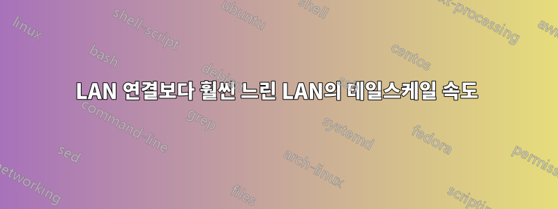 LAN 연결보다 훨씬 느린 LAN의 테일스케일 속도
