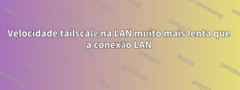 Velocidade tailscale na LAN muito mais lenta que a conexão LAN