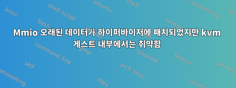 Mmio 오래된 데이터가 하이퍼바이저에 패치되었지만 kvm 게스트 내부에서는 취약함