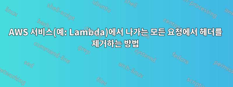 AWS 서비스(예: Lambda)에서 나가는 모든 요청에서 헤더를 제거하는 방법