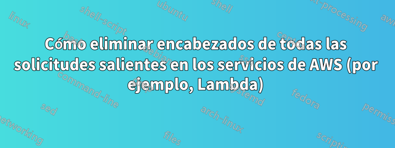 Cómo eliminar encabezados de todas las solicitudes salientes en los servicios de AWS (por ejemplo, Lambda)